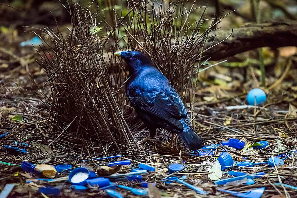 DSC_1373 DSC_1373